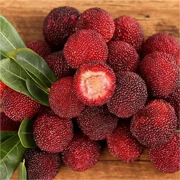 Giant Bayberry: Ping-Pong Ball Size, ⭐Strawberry-Cherry Fusion Flavor