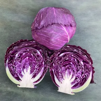 CABBAGE - PURPLE CABBAGE WITH BALLS SEEDS