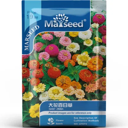 🏆Best-selling🌺Double Dwarf Zinnia Seeds