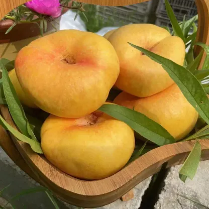 🌟Golden Legend - Golden Peach Seeds