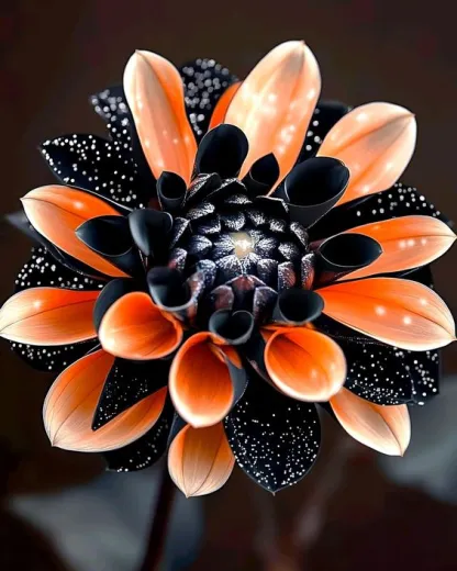 🌸Captivating Starry Night Dahlia 🌸