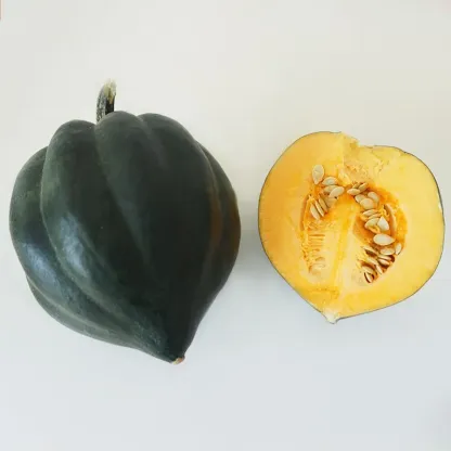 BLACK BELLOTA ACORN SQUASH SEEDS