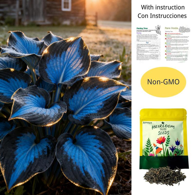 🔥Last day clearance🔥Premium Rare Hosta Seeds🌿Shade-Tolerant Plant