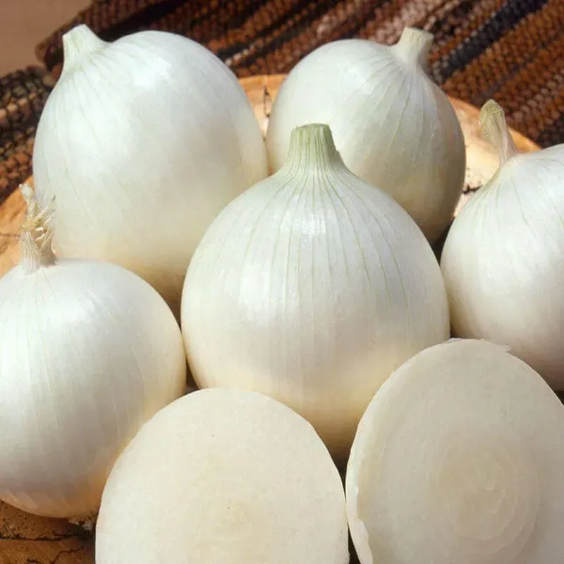 WHITE SWEET SPANSH ONION SEEDS