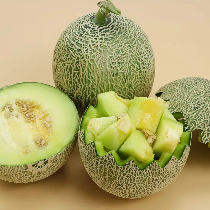 Langue du miel Graines de melon Hami
