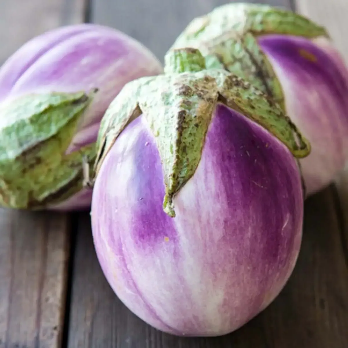 Italian Rosa Bianca eggplant seeds