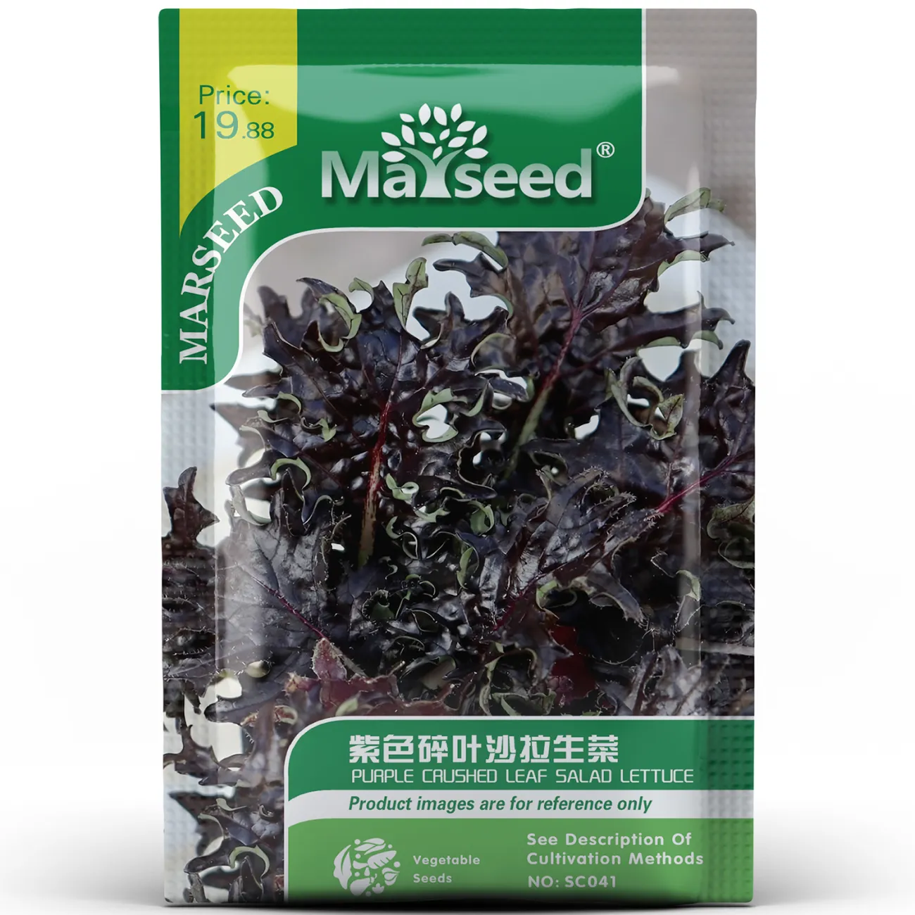 Purple Crushed Leaf Salad Lettuce Seeds