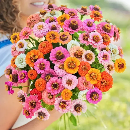 🌺Four Seasons Flower Seeds