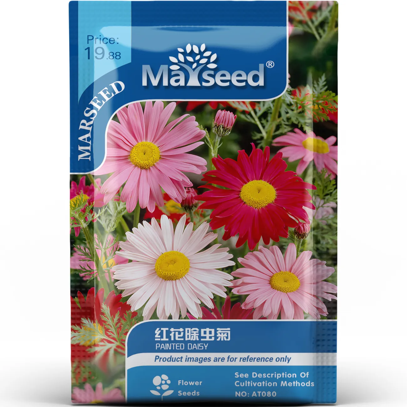 🌼Insect Killers🐞-Pyrethrum Daisy Seeds