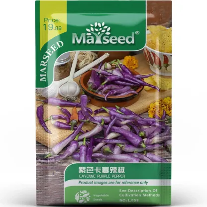 Rare And Beautiful Purple Cayenne Pepper Seeds