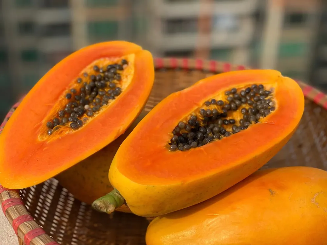 Red-Flesh Papaya Seeds