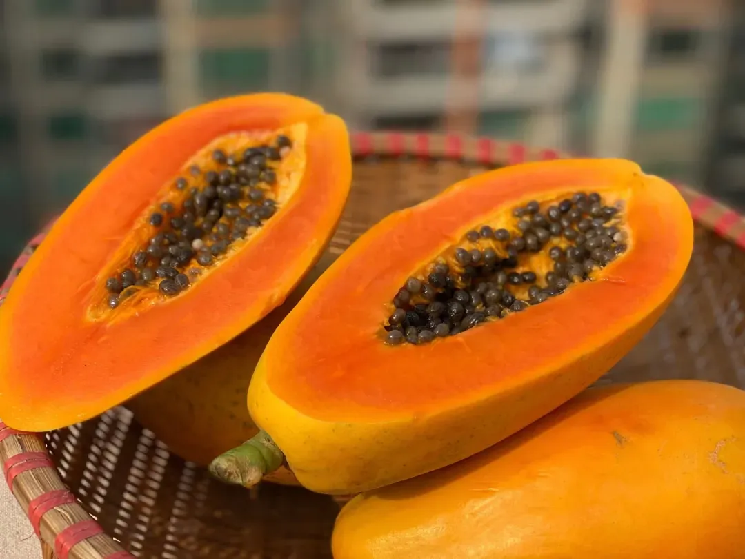 Red-Flesh Papaya Seeds