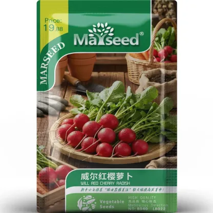 🍒🥕Radish Cherry Belle