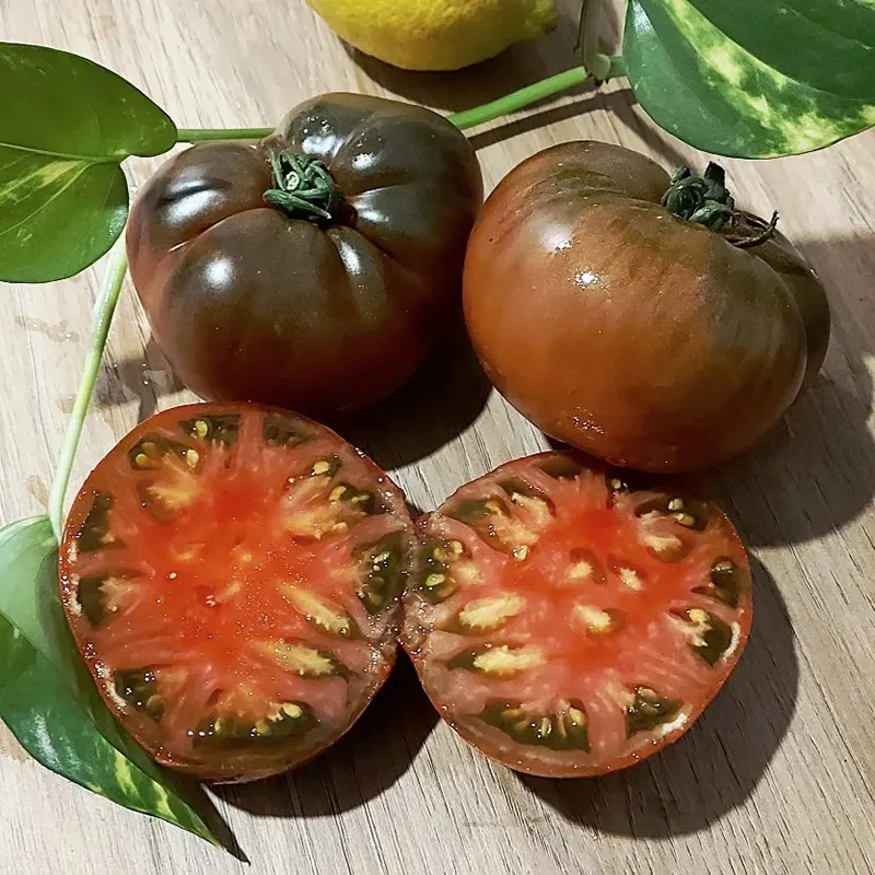 BLACK BRANDYWINE TOMATO SEEDS