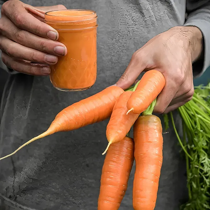 Orange Carrot Seeds