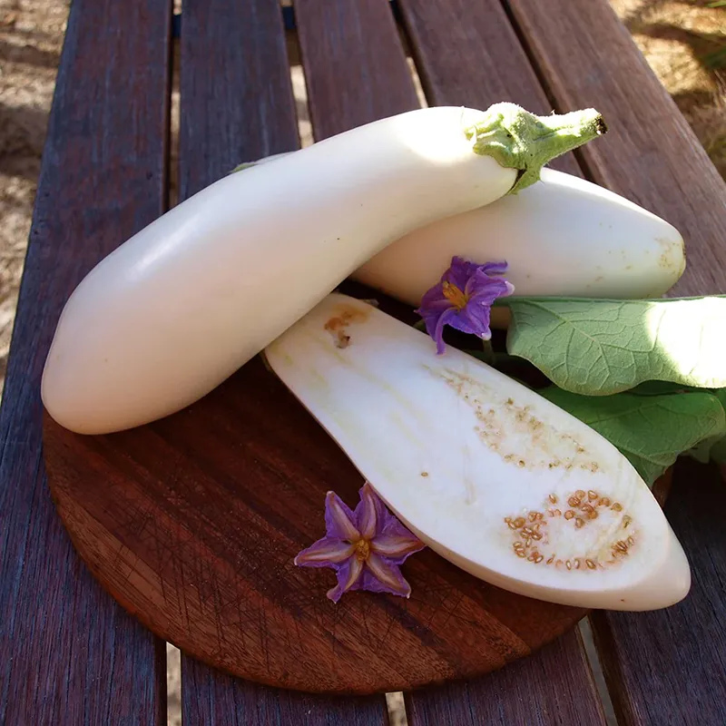French classic Casper eggplant Seeds