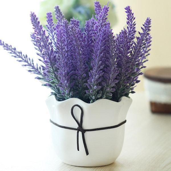 500Pcs Provence Lavender Seeds Fragrant Organic Flower Seeds Home Garden Bonsai Plant