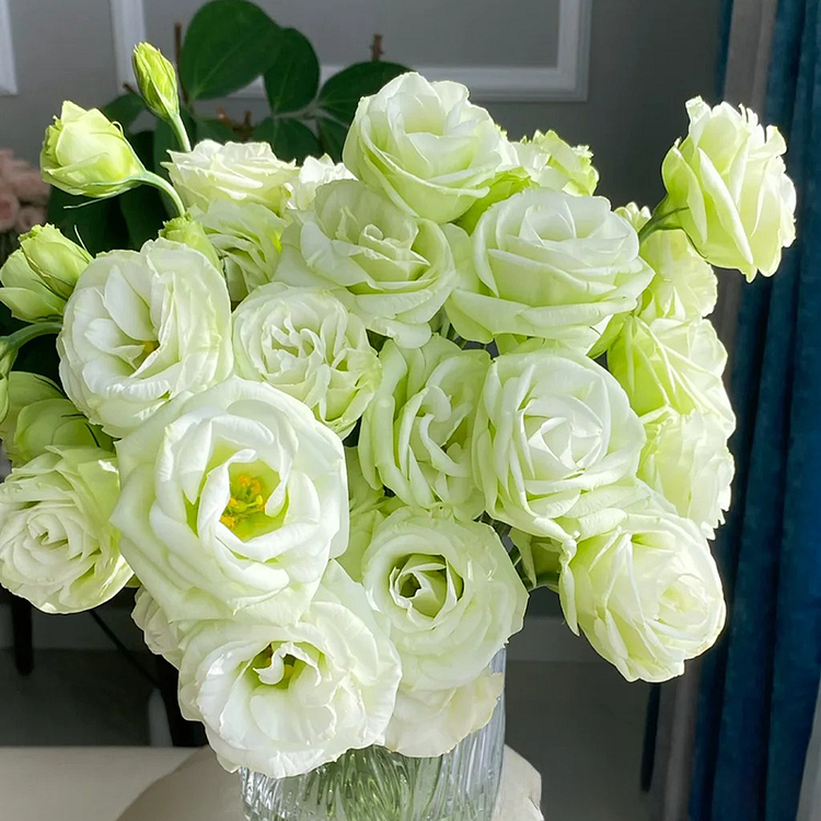 💐Lisianthus - Sincere Love