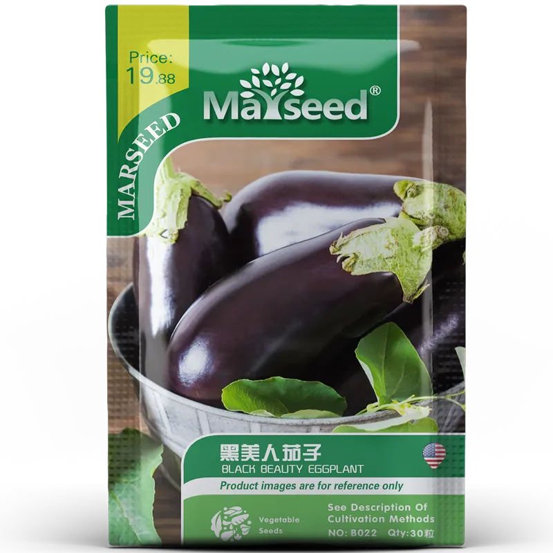 Heirloom Black Beauty Eggplant Seeds - Super Delicious, High-Yielding Old Variety