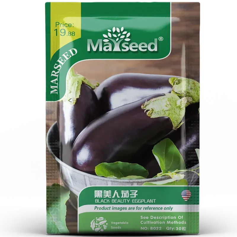 Heirloom Black Beauty Eggplant Seeds - Super Delicious, High-Yielding Old Variety
