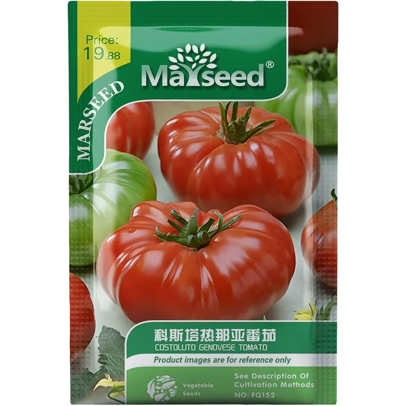 🍅Heirloom Costa Genoa Horseshoe Tomato Seedlings Potted Plants