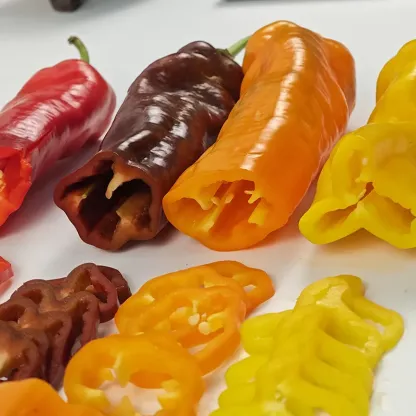 Super Marconi Bell Pepper Italian Multicolor Mixed Seeds