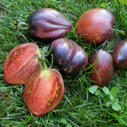 Unique heart-shaped rebel space warrior tomato seeds with rich flavor