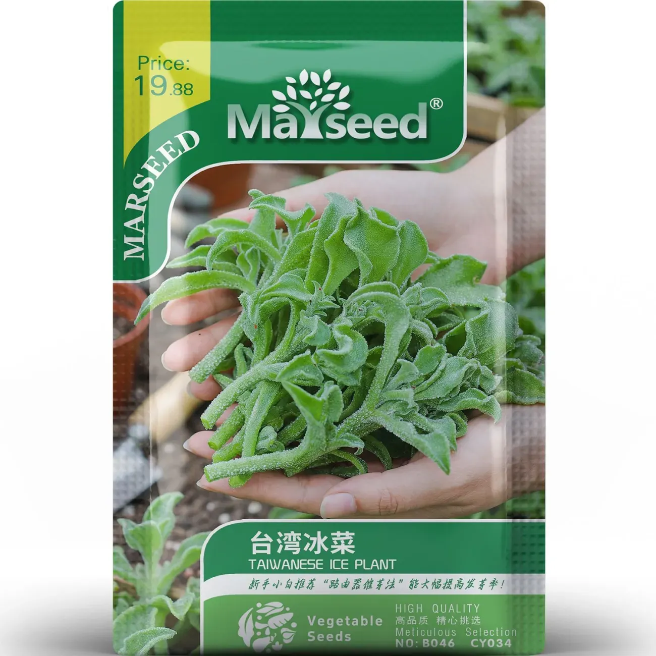 Crystal Ice Plant Seeds