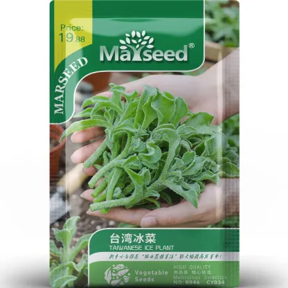 Crystal Ice Plant Seeds