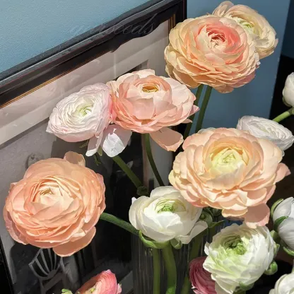 🌸Ranunculus—Wealth And Good Fortune