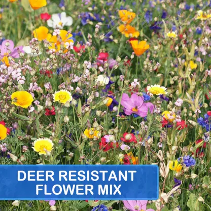 🌺Deer Resistant Wildflower Seed Mix🌈Heirloom Seeds