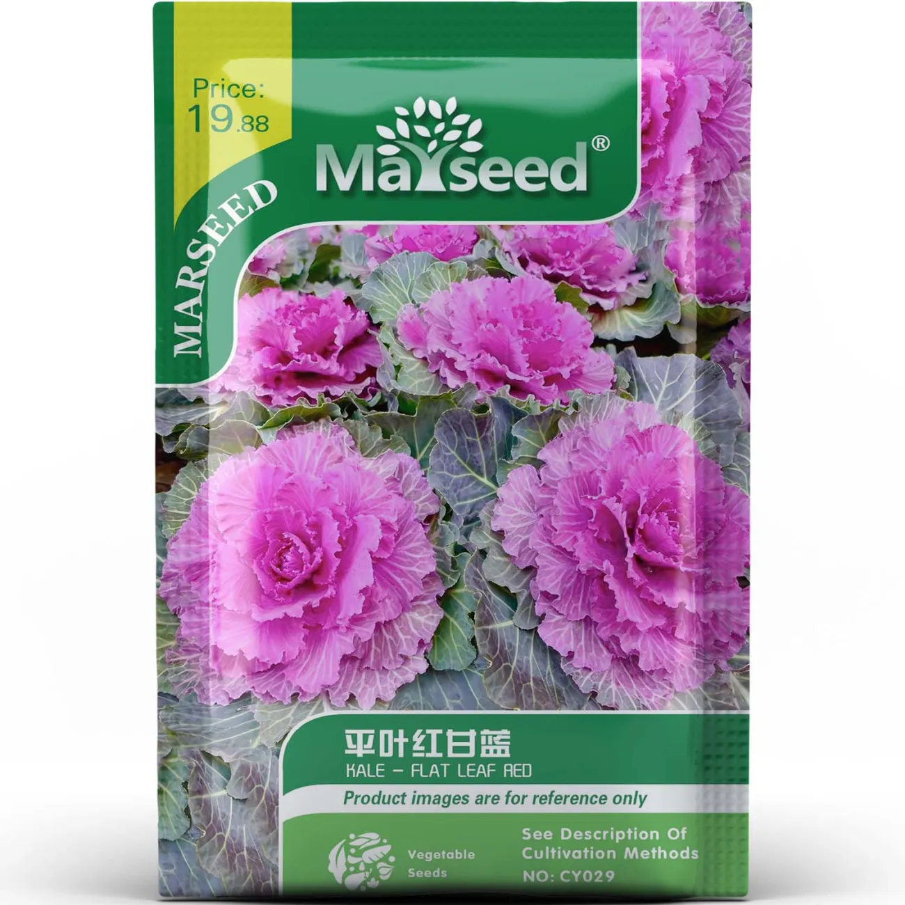 Mixed Color Kale Collard Vegetable Seeds