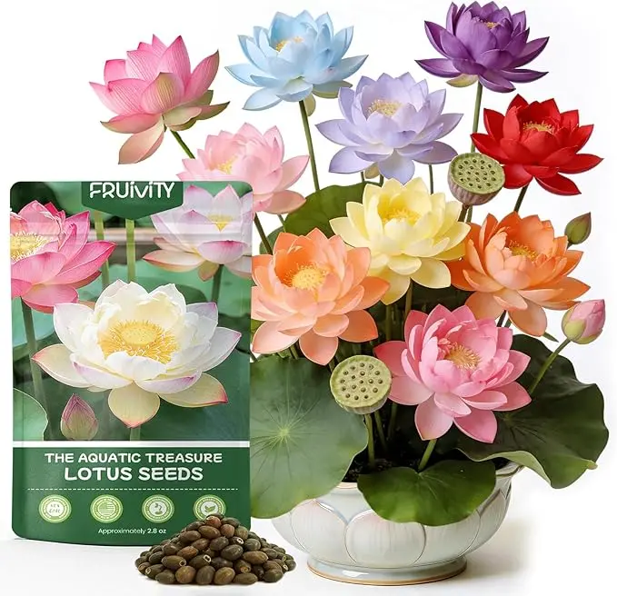 🌸Bowl lotus-Relieve Stress