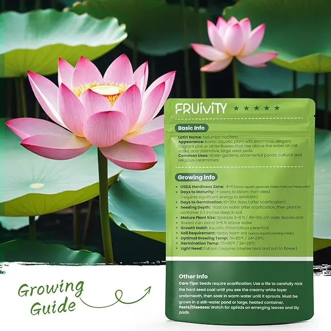 🌸Bowl lotus-Relieve Stress