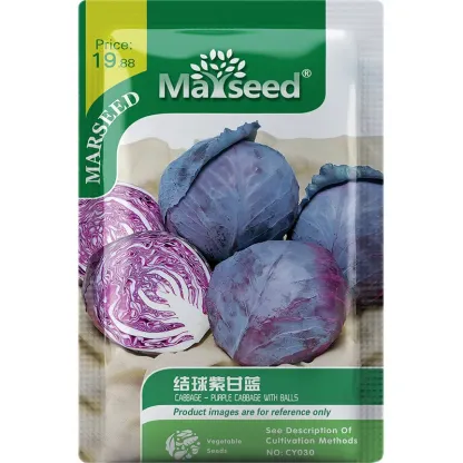 CABBAGE - PURPLE CABBAGE WITH BALLS SEEDS