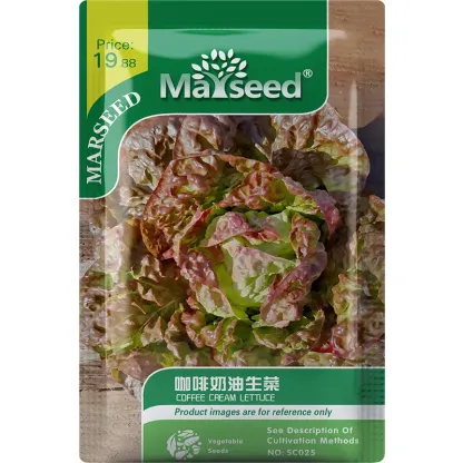 Organic Lettuce Seeds