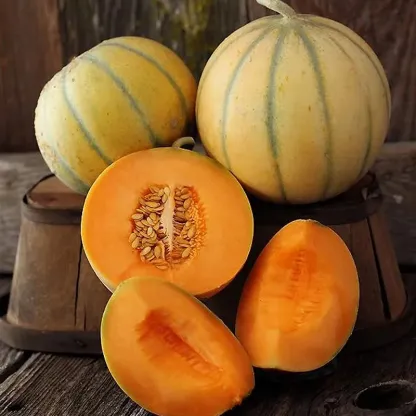 Charentais Melon Seeds