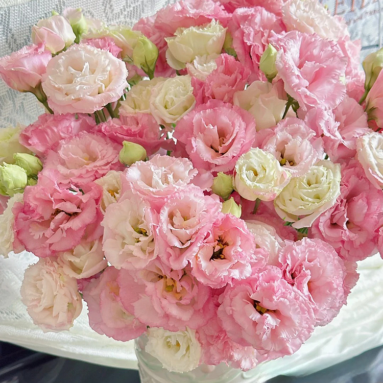 💐Lisianthus - Sincere Love