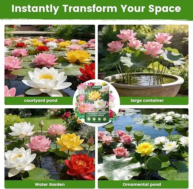 🌸Bowl lotus-Relieve Stress