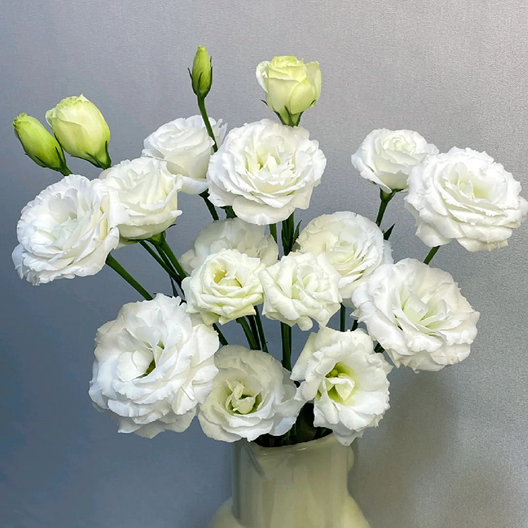 💐Lisianthus - Sincere Love