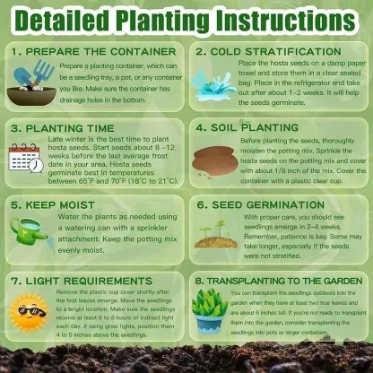 🔥🌌 Glow-in-the-Dark Garden Magic: Rare Dark Blue Flame Hostas Seeds