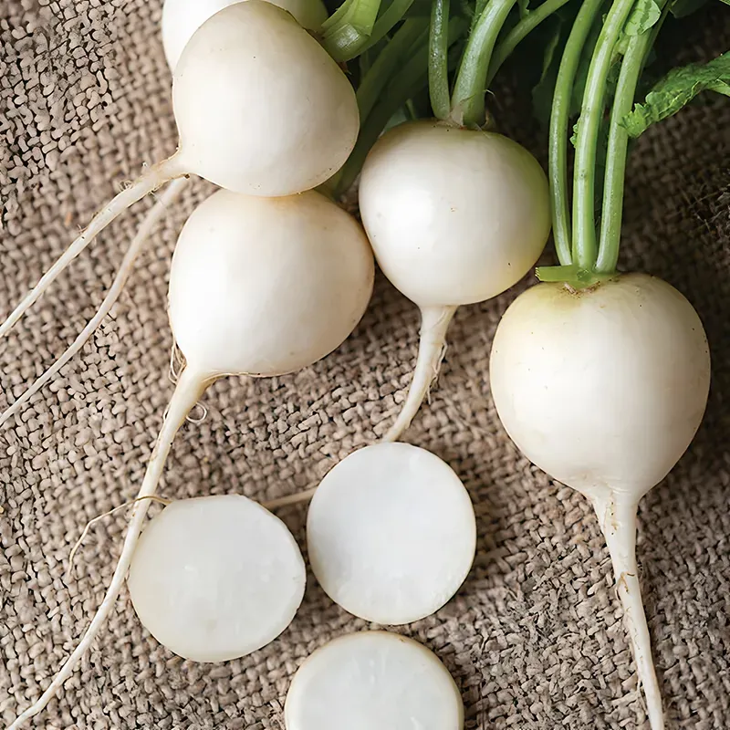 White Cherry Radish Seeds