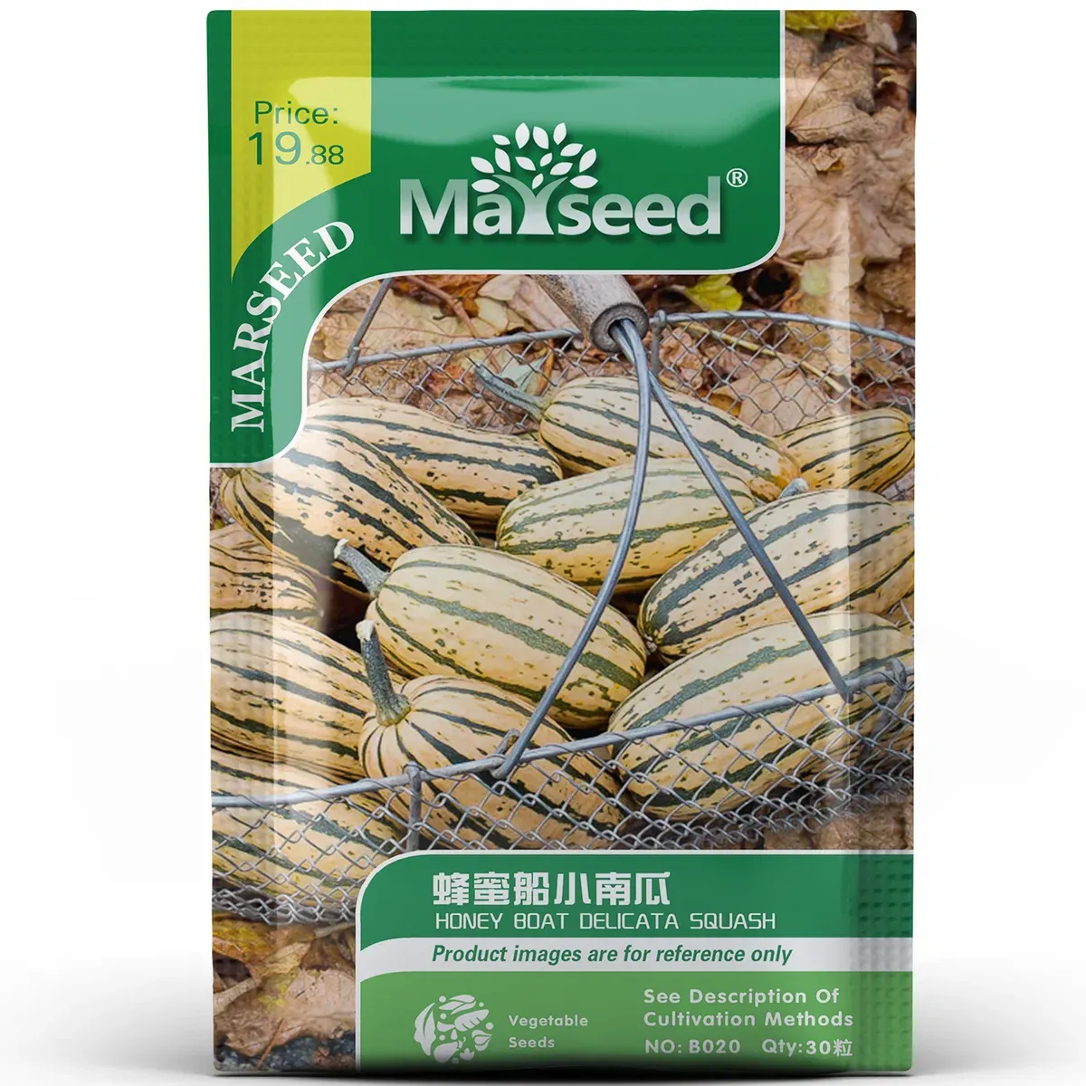 Honey Boat Delicata Squash Seeds