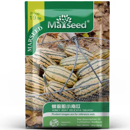 Honey Boat Delicata Squash Seeds