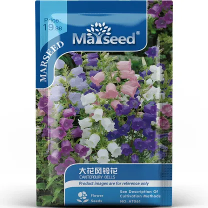 🔔Bellflower Seeds—Spring's Rainbow Romance🌸