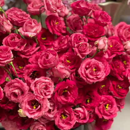 💐Lisianthus - Sincere Love