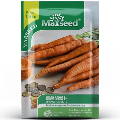 Orange Carrot Seeds