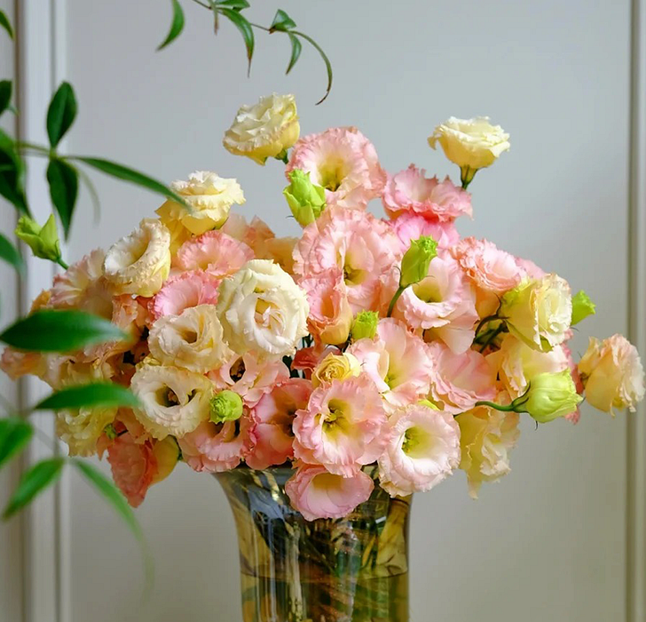 💐Lisianthus - Sincere Love