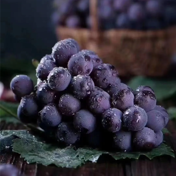 🍇Kyoho Grape Seeds Thin-Skinned, Large, and Seedless