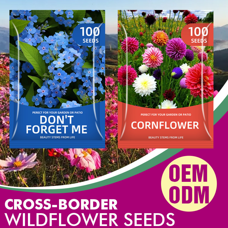 🌺Four Seasons Flowering Mixed Flower Seeds - Easy to Grow